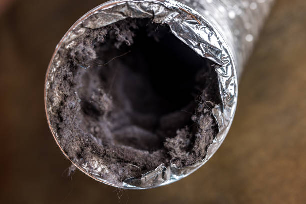 Best Home Air Vent Cleaning  in Lexington, NC