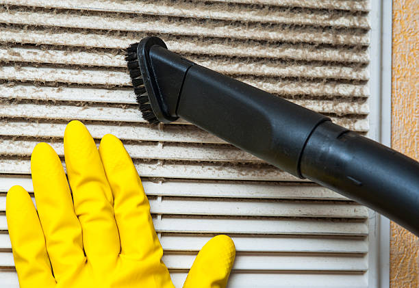 Best Affordable HVAC Duct Cleaning  in Lexington, NC